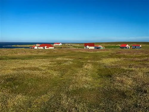 Белые дома с красными крышами в поле на острове Бликер, Фолклендские острова