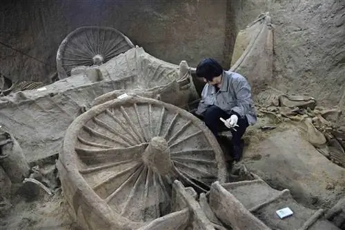 На раскопках обнаружены древние колесницы и скелеты лошадей