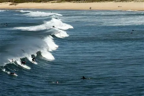 Серферы на волне на пляже Марубра в Сиднее, Австралия