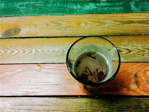 Стакан пива на красочном деревянном столе