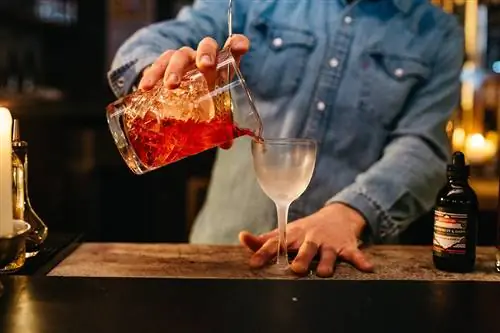 Форт Виннипег