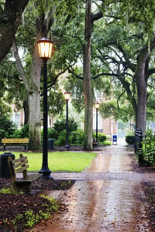 Уличный фонарь в дождливом городском парке в Саванне, Джорджия