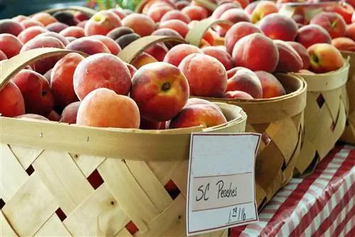 Корзины персиков из Южной Каролины в продаже на местном фермерском рынке.