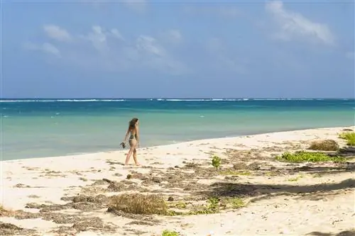 Молодая женщина гуляет по карибскому пляжу с белым песком на Роатане в Гондурасе