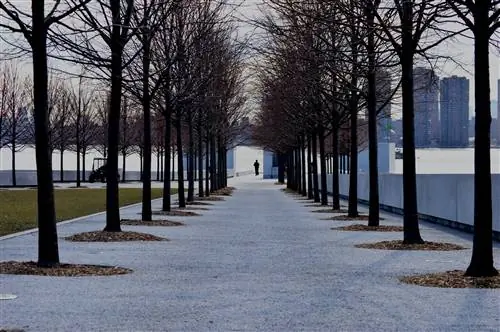 Человек, идущий в парке четырех свобод Франклина Д. Рузвельта на острове Рузвельта