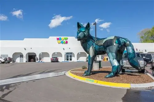 Интерактивная арт-галерея Meow Wolf, вид снаружи. Галерея представляет собой большое белое здание с большой статуей волка снаружи.