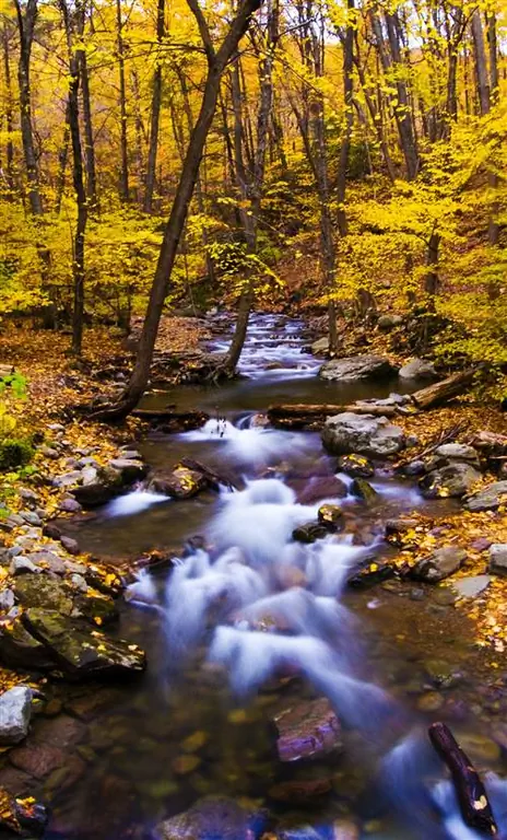 Краски осени в Delaware Water Gap в Нью-Джерси