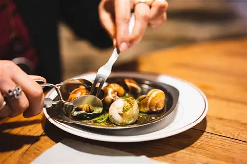 Женщина ест Escargot, Дижон, Бургундия, Франция
