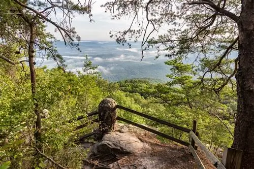 Государственный парк Cloudland Canyon в Rising Fawn, Джорджия, США