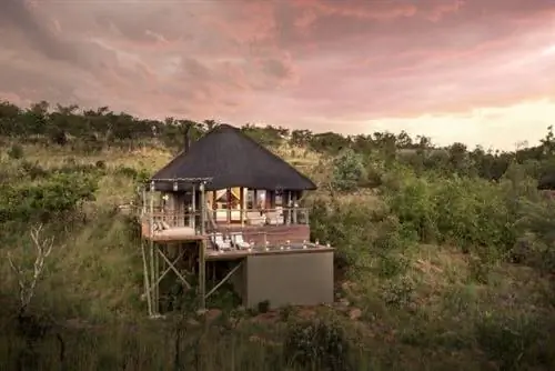Mhondoro Game Lodge в Южной Африке предлагает интимные встречи с дикой природой из укрытия под землей. Изображение: Mhondoro Game Lodge