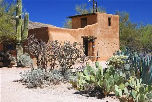 Painet jm7442 arizona tucson degrazia музей миссия солнце пустыня сад тед художник архитектура компоновка строить комплекс