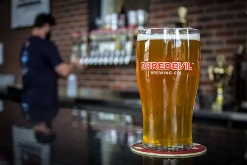 Пинта пива в баре пивоварни Daredevil Brewery, Индианаполис, Индиана, Средний Запад, США