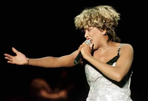 Тина Тернер держит микрофон на сцене в серебряном платье.