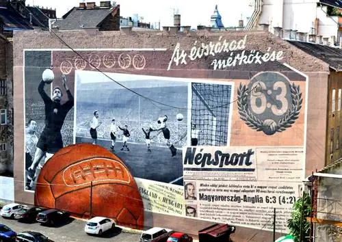 Фреска «Матч века 6:3» в Районе VII, Будапешт, Венгрия