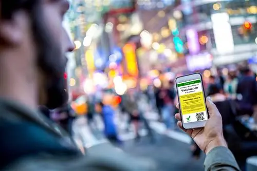 Цифровой международный сертификат вакцинации Covid-19 на смартфоне
