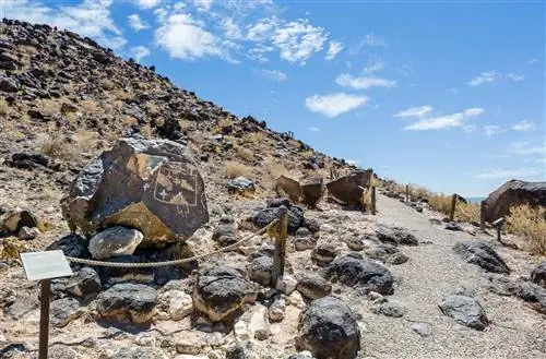 Петроглиф на тропе Меса-Пойнт в секции каньона Бока-Негра Национального памятника Петроглиф, Альбукерке, Нью-Мексико, США