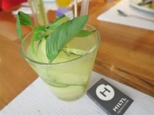 Коктейль Cucumber-Basil Smash в вегетарианском ресторане Hiltl в Цюрихе