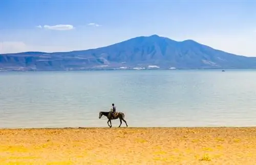 От дегустации текилы до горных походов - вот 5 лучших однодневных поездок в Гвадалахару