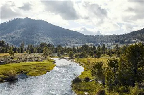 Река пробивается через зеленую долину с горой позади