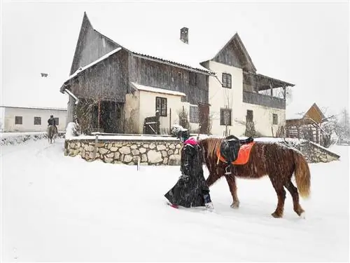 А, Прогулка, С, А, Лошадь, В, В, Снег, В, Бохинь