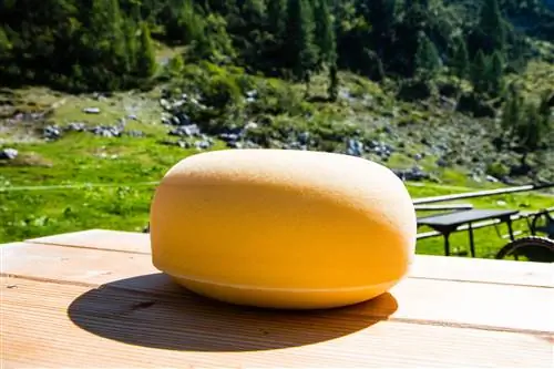 Сыр, Фабрика, В, Zadnji, Vogel,, Часть, Of, The, Bohinj, Сыр