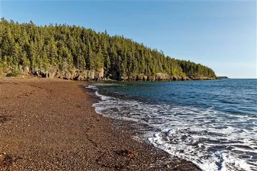 Джаспер-Бич, Макиаспорт, Мэн, США