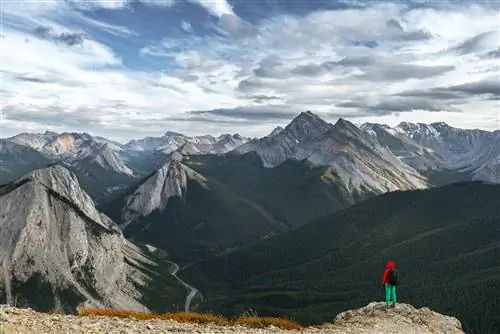 Скалистые горы Альберты с тропы серного горизонта, национальный парк Джаспер