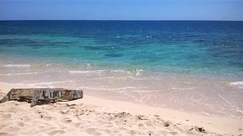 Старый кусок дерева с выгравированным на боку Лайм-Кей стоит на песчаном пляже рядом с берегом