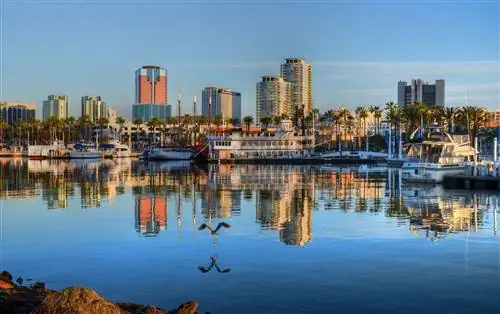 Голубое утро