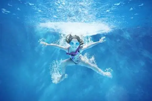 8 лучших мест для посещения на Тенерифе: от деревень, обнимающих скалы, до насыщенных культурой городов