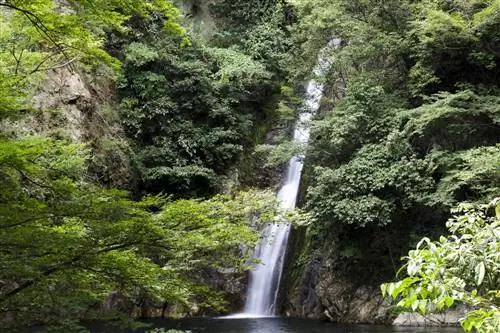 Kobe_Nunobiki Falls-j.webp