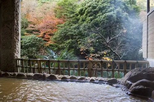 Kobe_Arima Onsen-j.webp