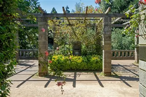 Ботанический сад Порту, Португалия. Красивый сад для посещения и общения с биоразнообразием природы