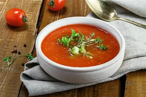 Как приготовить гаспачо