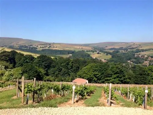 Характеристики - Steveling-Vineyard-527a6fb79ee7