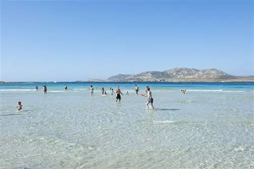 Люди играют в воде на пляже Сардинии.