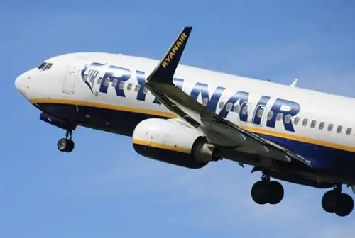 Пара пыталась остановить рейс Ryanair, который они пропустили.