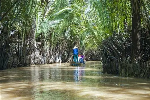 Небольшую лодку ведет по водному пути человек в конической шляпе. Деревья выросли над водой, образовав туннель