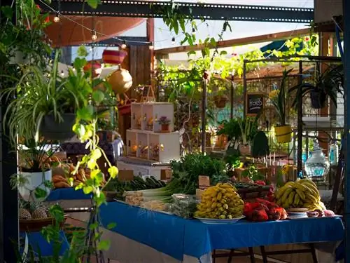 Урожай долины Каррамбин, свежие продукты, бананы, фермерский рынок, Голд-Кост, Австралия