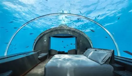 Подводная кровать в номере Muraka Suite отеля Conrad Maldives Rangali Island