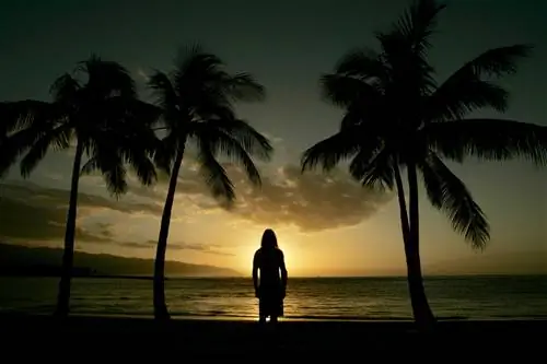 Туристы наблюдают за заходящим солнцем в пляжном парке Халейва на северном берегу Оаху.