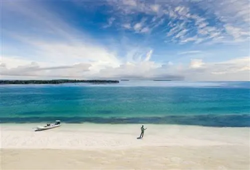MC-KW Flatsboat Sandbar Антенна C-j.webp