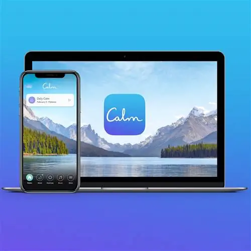 Ноутбук и смартфон расположены лицом к камере, на обоих изображены сцена с озером и горами, а посередине - заголовок приложения «Спокойствие».