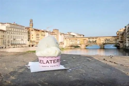 Лучшее мороженое во Флоренции: как отличить настоящее мороженое