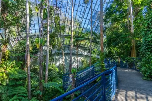 Ботанические сады подарят часы восхищения и трепета.