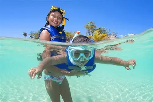 Лучшее время для посещения Гондураса, чтобы увидеть китовых акул, заняться рафтингом и избежать сезона ураганов