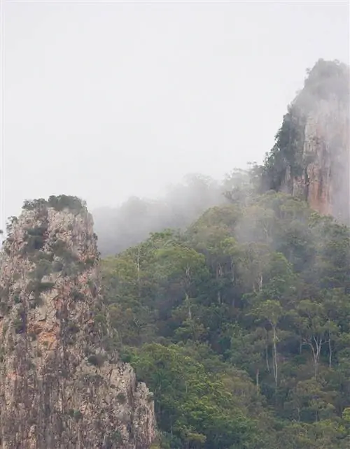 Два скалистых выступа вырываются из густого леса и поднимаются в туманное небо Нимбина.