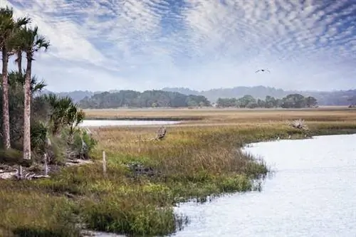 10 причин посетить Джексонвиль