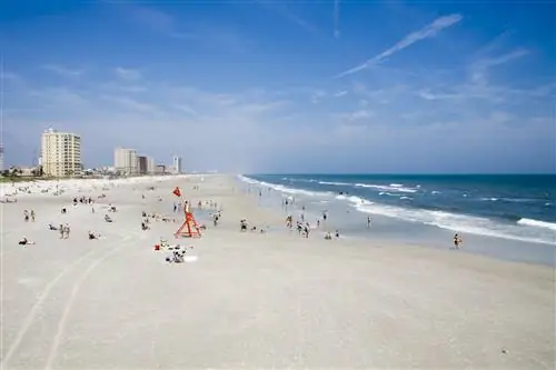 Особенности - США, Флорида, люди на пляже Джексонвилля