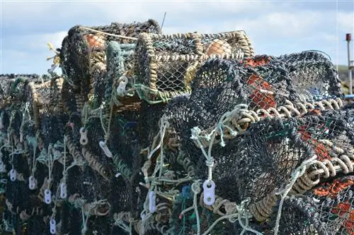 Особенности - В ловушке